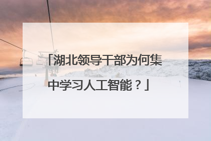 湖北领导干部为何集中学习人工智能？