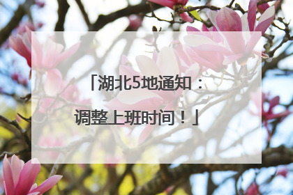 湖北5地通知：调整上班时间！