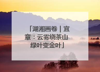 湖湘画卷｜宜章：云雾绕茶山 绿叶变金叶