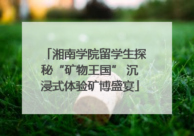 湘南学院留学生探秘“矿物王国” 沉浸式体验矿博盛宴