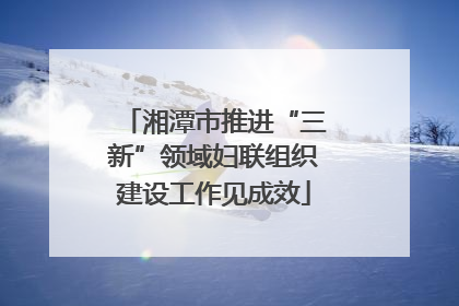 湘潭市推进“三新”领域妇联组织建设工作见成效