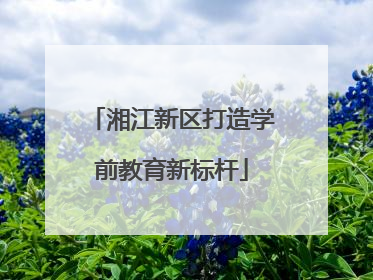 湘江新区打造学前教育新标杆