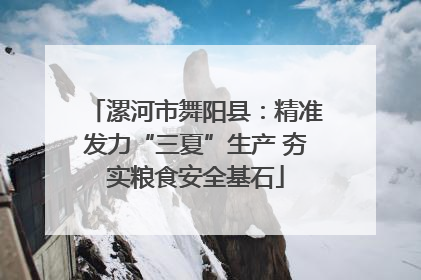 漯河市舞阳县：精准发力“三夏”生产 夯实粮食安全基石