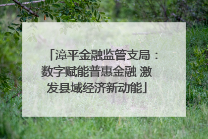 漳平金融监管支局：数字赋能普惠金融 激发县域经济新动能