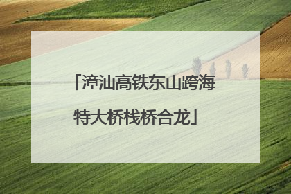 漳汕高铁东山跨海特大桥栈桥合龙