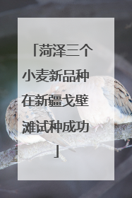 菏泽三个小麦新品种在新疆戈壁滩试种成功