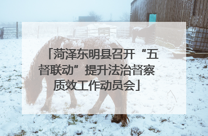 菏泽东明县召开“五督联动”提升法治督察质效工作动员会