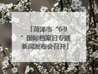 菏泽市“6·9”国际档案日专题新闻发布会召开