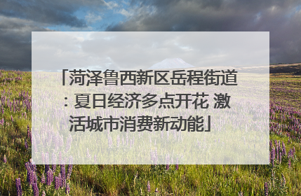 菏泽鲁西新区岳程街道：夏日经济多点开花 激活城市消费新动能
