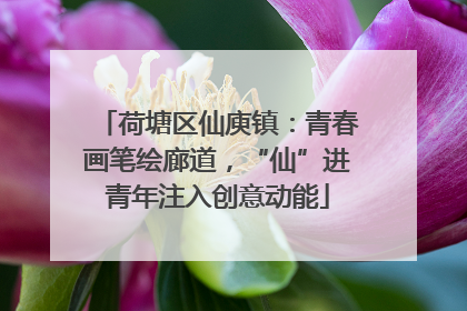 荷塘区仙庾镇：青春画笔绘廊道，“仙”进青年注入创意动能