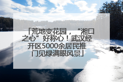 荒地变花园，“湘口之心”好称心！武汉经开区5000余居民推门见绿满眼风景