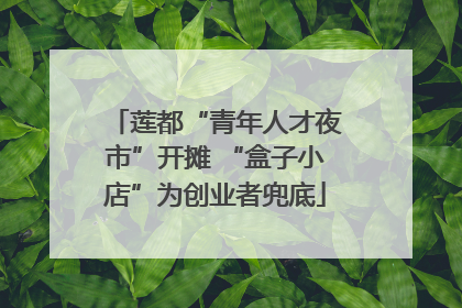 莲都“青年人才夜市”开摊 “盒子小店”为创业者兜底