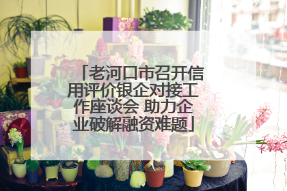 老河口市召开信用评价银企对接工作座谈会 助力企业破解融资难题