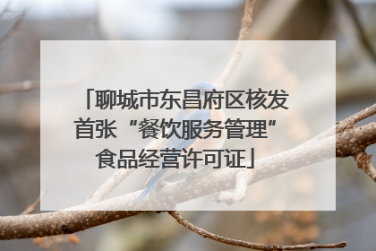 聊城市东昌府区核发首张“餐饮服务管理”食品经营许可证