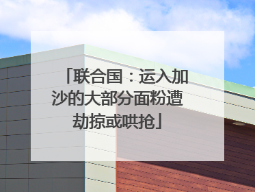 联合国：运入加沙的大部分面粉遭劫掠或哄抢