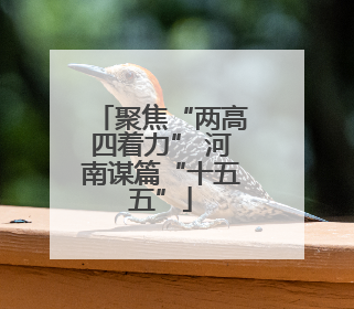 聚焦“两高四着力” 河南谋篇“十五五”