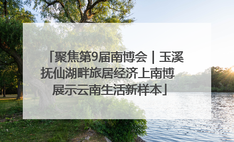 聚焦第9届南博会｜玉溪抚仙湖畔旅居经济上南博 展示云南生活新样本