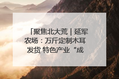 聚焦北大荒｜延军农场：万斤定制木耳发货 特色产业“成绩单”亮眼