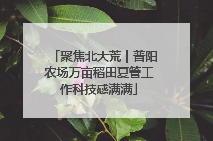 聚焦北大荒｜普阳农场万亩稻田夏管工作科技感满满