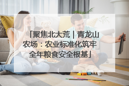 聚焦北大荒｜青龙山农场：农业标准化筑牢全年粮食安全根基