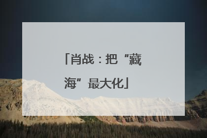 肖战：把“藏海”最大化