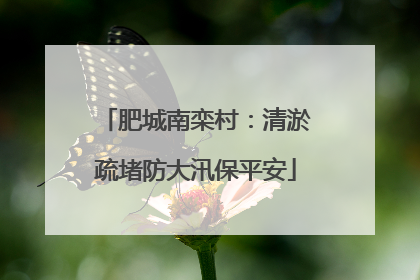 肥城南栾村：清淤疏堵防大汛保平安
