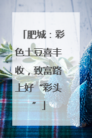 肥城：彩色土豆喜丰收，致富路上好“彩头”