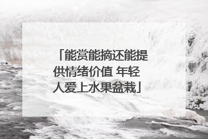 能赏能摘还能提供情绪价值 年轻人爱上水果盆栽