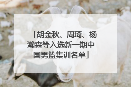 胡金秋、周琦、杨瀚森等入选新一期中国男篮集训名单