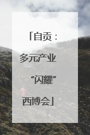 自贡：多元产业“闪耀”西博会