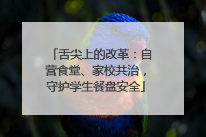 舌尖上的改革：自营食堂、家校共治，守护学生餐盘安全
