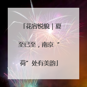 花容悦貌｜夏至已至，南京“荷”处有美韵