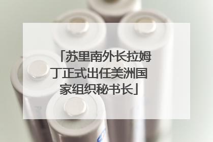 苏里南外长拉姆丁正式出任美洲国家组织秘书长