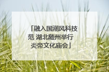 融入国潮风科技范 湖北随州举行炎帝文化庙会