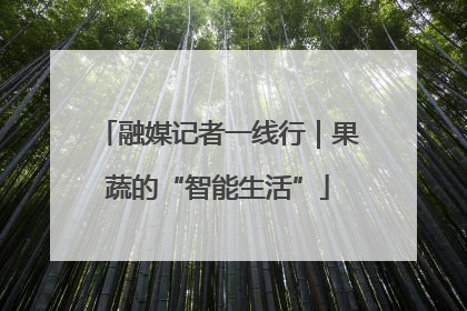 融媒记者一线行｜果蔬的“智能生活”