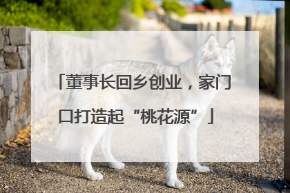 董事长回乡创业，家门口打造起“桃花源”