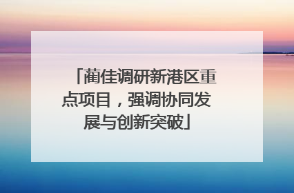 蔺佳调研新港区重点项目，强调协同发展与创新突破