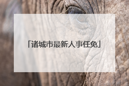 诸城市最新人事任免