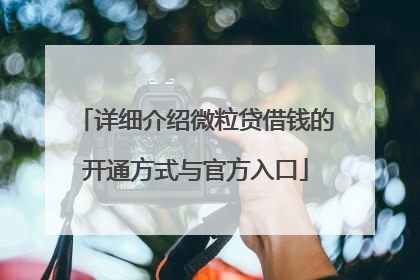 详细介绍微粒贷借钱的开通方式与官方入口