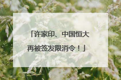 许家印、中国恒大再被签发限消令！