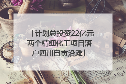 计划总投资22亿元 两个精细化工项目落户四川自贡沿滩