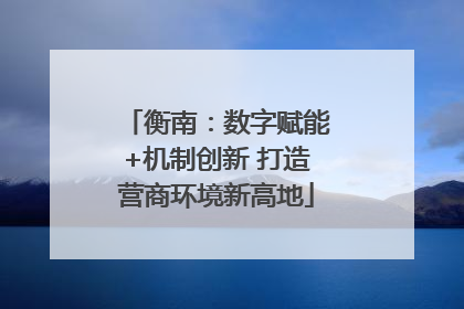 衡南：数字赋能+机制创新 打造营商环境新高地