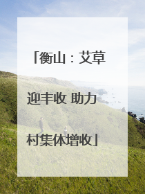 衡山：艾草迎丰收 助力村集体增收