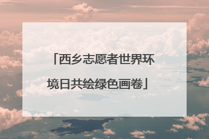 西乡志愿者世界环境日共绘绿色画卷