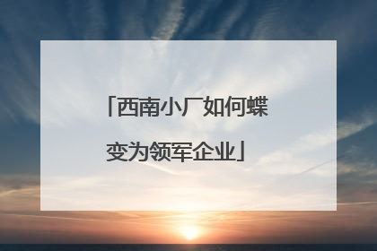 西南小厂如何蝶变为领军企业