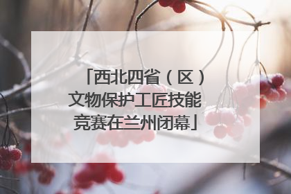 西北四省（区）文物保护工匠技能竞赛在兰州闭幕