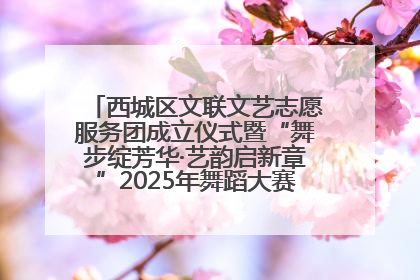 西城区文联文艺志愿服务团成立仪式暨“舞步绽芳华·艺韵启新章”2025年舞蹈大赛展演圆满举办