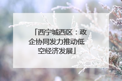 西宁城西区：政企协同发力推动低空经济发展