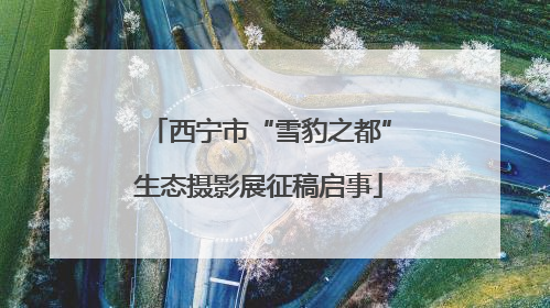 西宁市“雪豹之都”生态摄影展征稿启事