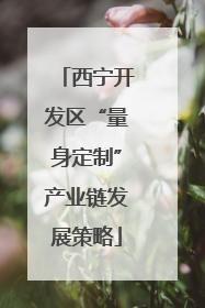 西宁开发区“量身定制”产业链发展策略